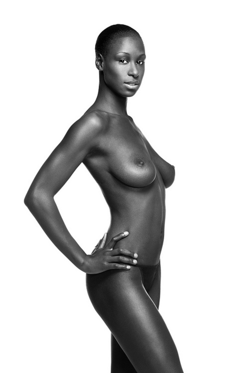 Beautiful, dark-skinned, perky black breasts.; Ebony 